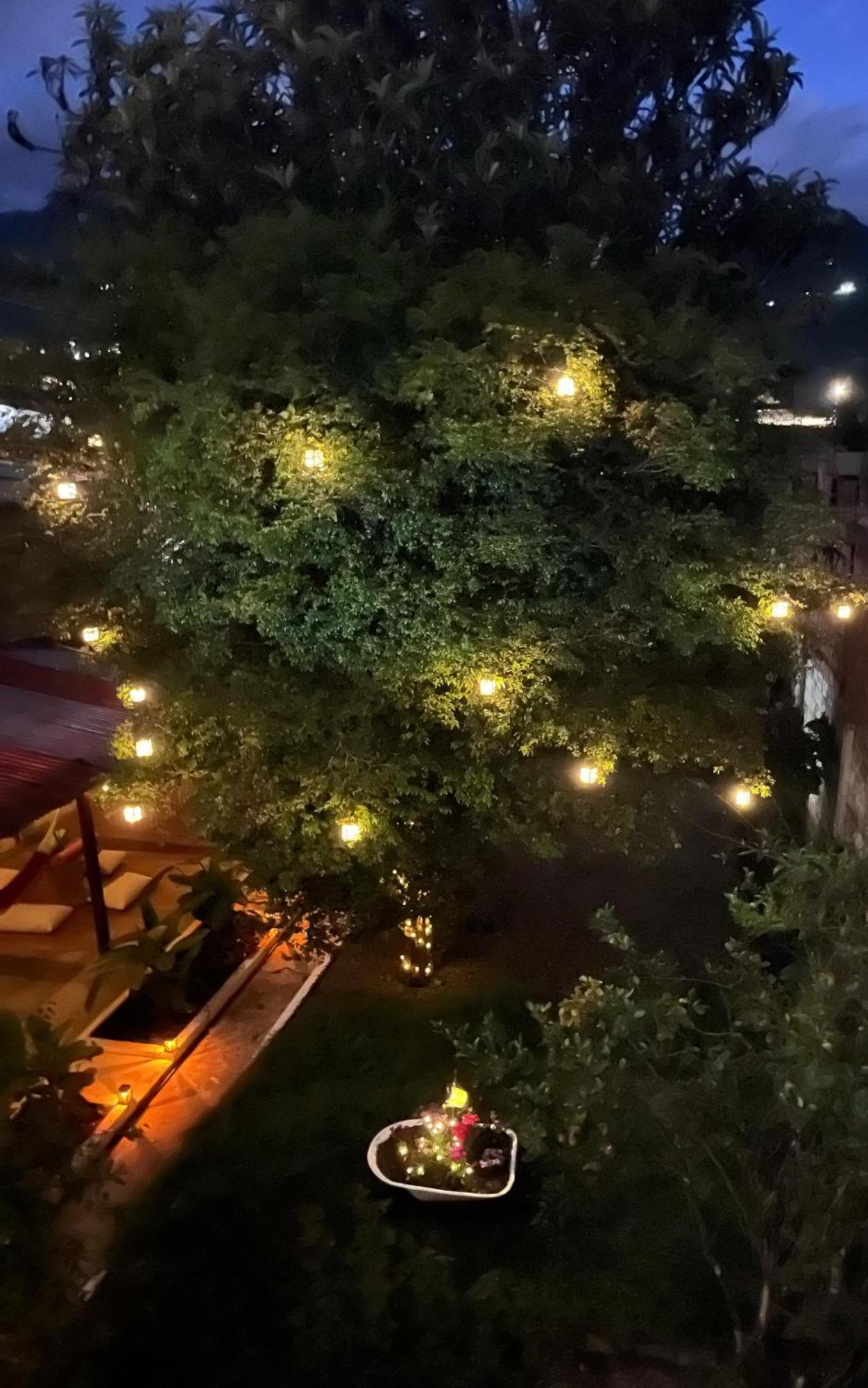 Magic Jardin Hostel - Patio, Balcony & Rooftop ภายนอก รูปภาพ